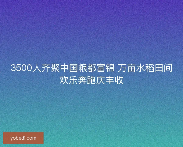 3500人齐聚中国粮都富锦 万亩水稻田间欢乐奔跑庆丰收